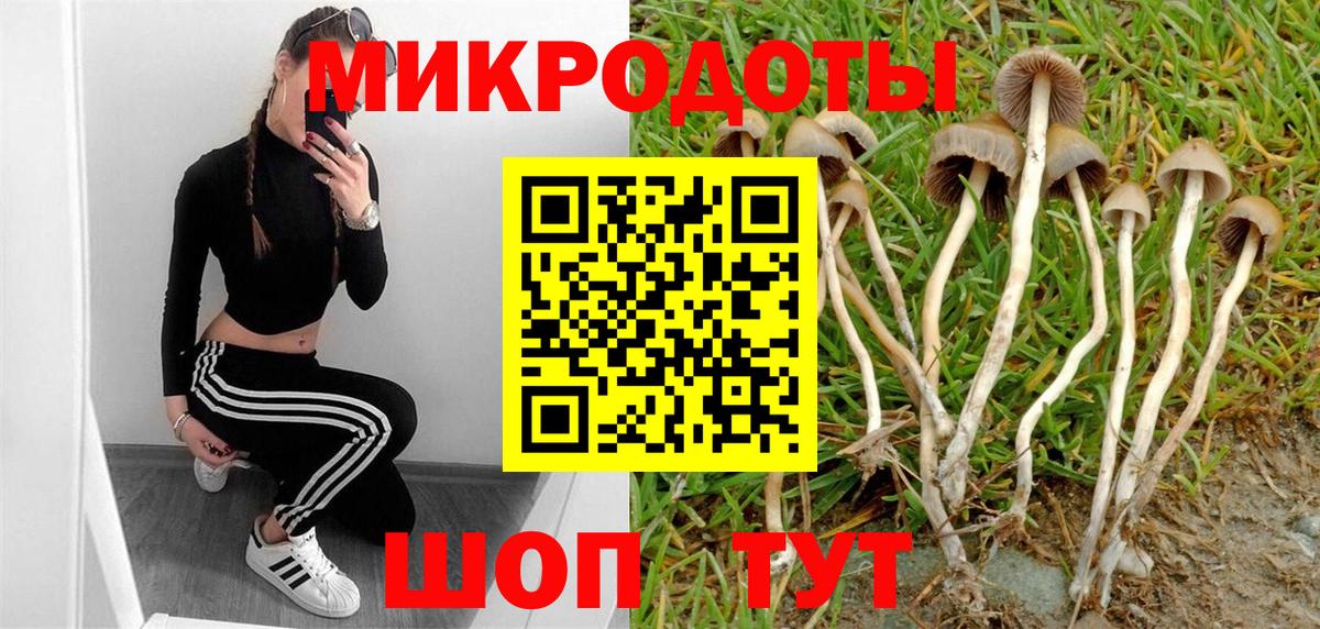 Псилоцибиновые грибы Cubensis  Вход с VPN  закладка  Нефтеюганск 